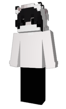 Minecraft скін по ніку DioPro25