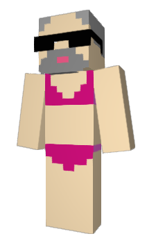 Minecraft skin DeFakeApple