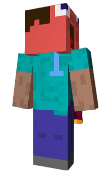 Minecraft skin 91SV1P