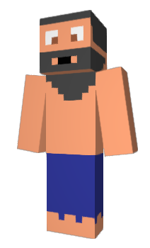 Minecraft skin frosion