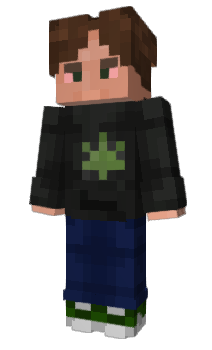 Minecraft skin NleChupa