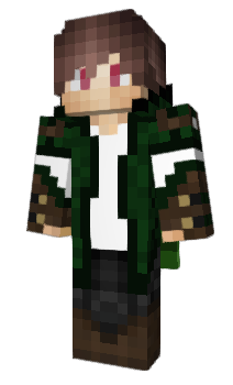 Minecraft skin Insanir