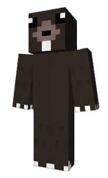 Minecraft skin IrDeeM