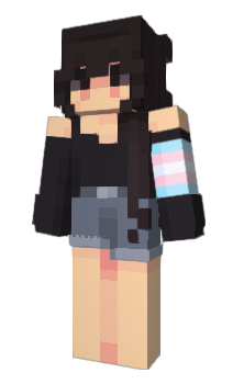 Minecraft skin Polish_InteRR