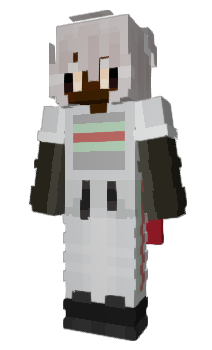 Minecraft skin ricaka