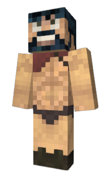 Minecraft skin VLCMediaPlayer