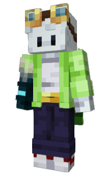 Minecraft skin HANOK1