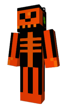 Minecraft skin RaphTheTurtle