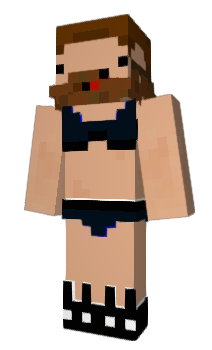 Minecraft skin NL7