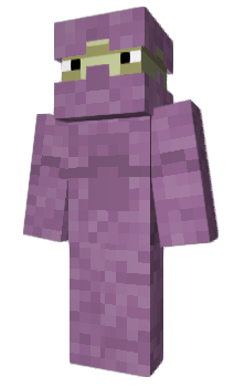 Minecraft skin shulkr