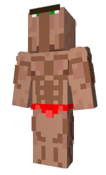 Minecraft skin _PakNea_