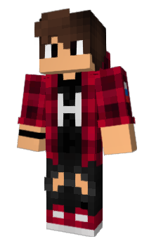 Minecraft skin NikkSth