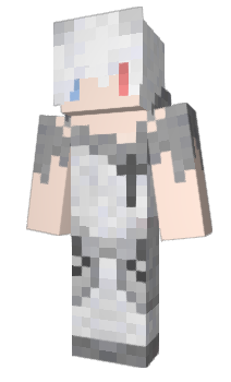 Minecraft skin LibarIn