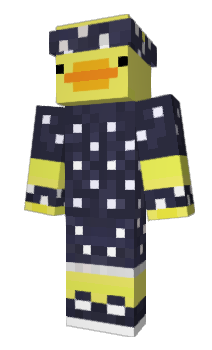 Minecraft skin Skints