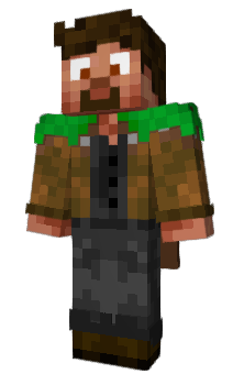 Minecraft skin TIDZIMI