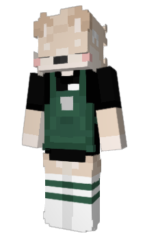 Minecraft skin mrsToasto