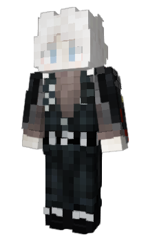 Minecraft skin NYHC