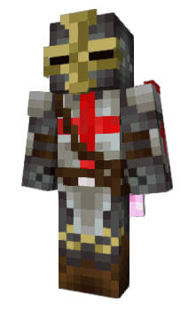 Minecraft skin DSTDX