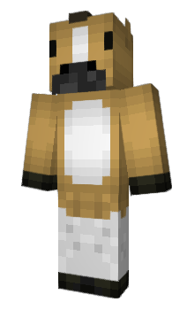 Minecraft скін по ніку Aethersx