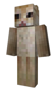 Minecraft skin poau