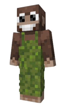 Minecraft skin eloco