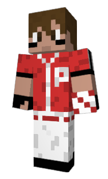 Minecraft skin erTed