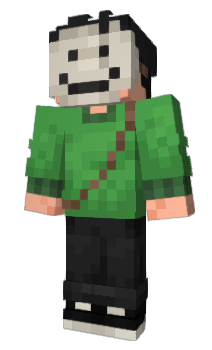 Minecraft skin prostank