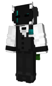 Minecraft skin _Xak