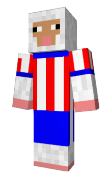 Minecraft skin w0p