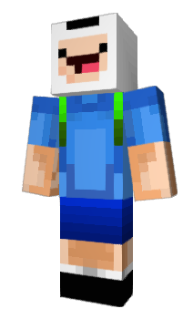 Minecraft skin DogeKnight