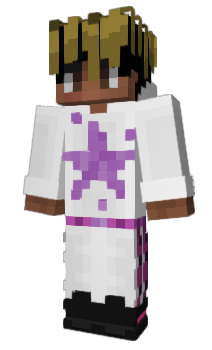 Minecraft skin Provokes