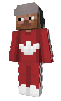 Minecraft skin 14PRO