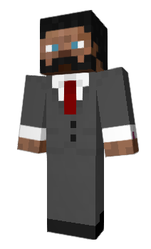 Minecraft skin Tortugo