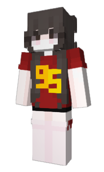 Minecraft skin anvk