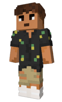 Minecraft skin aarmen