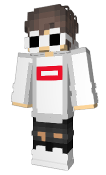 Minecraft skin Flowwe