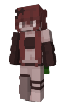 Minecraft skin timerr