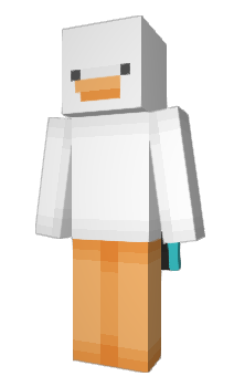 Minecraft skin wPun