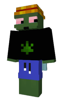 Minecraft skin top14