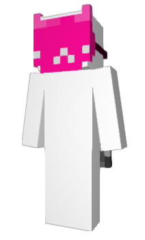 Minecraft skin FeBook