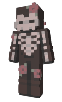 Minecraft skin Tqru