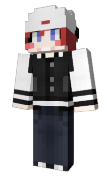 Minecraft skin tolci