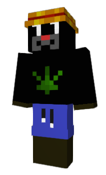 Minecraft skin SkillSuper