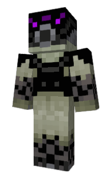 Minecraft skin EchoRobot