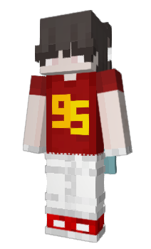 Minecraft скін по ніку zeynebicokseviom