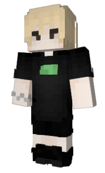 Minecraft skin znachok