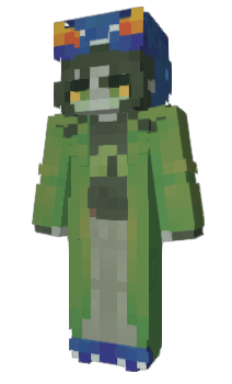 Minecraft skin swocket