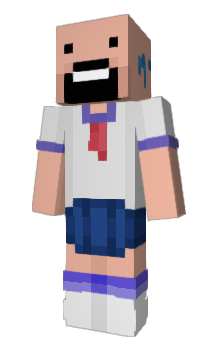 Minecraft skin camerain