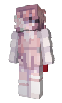 Minecraft skin PandaElsa