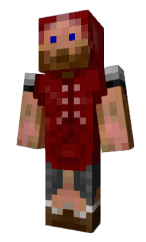 Minecraft skin donnied